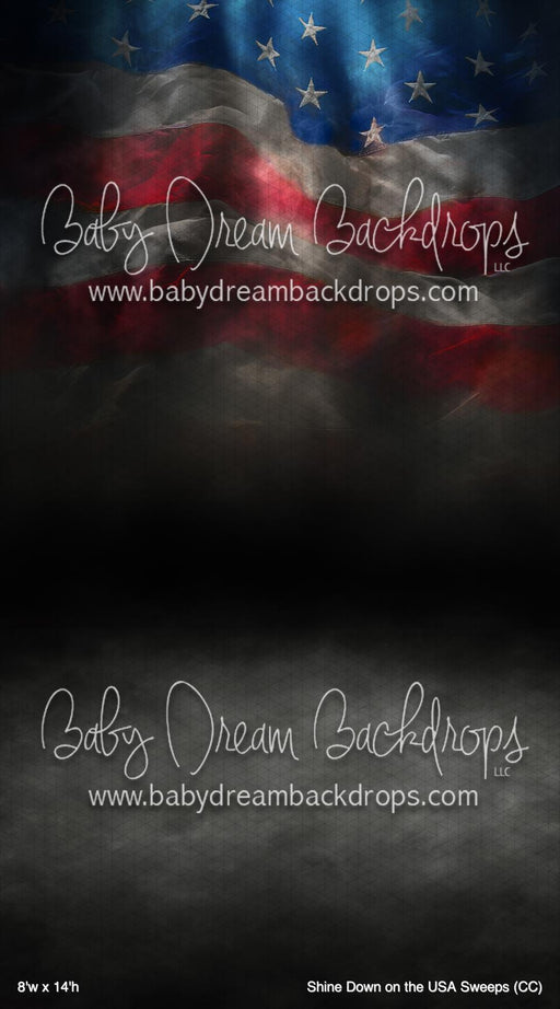 Shine Down on the USA Sweeps (CC)