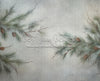 Simple Pine Bough (LL)