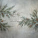 Simple Pine Bough (LL)