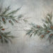 Simple Pine Bough (LL)