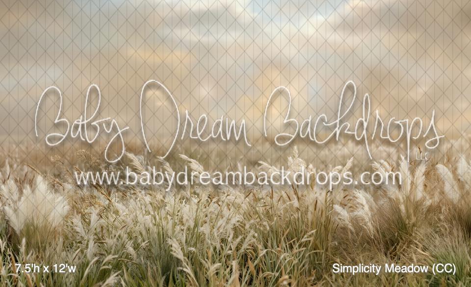 Simplicity Meadow (CC)