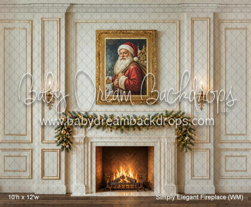 Simply Elegant Fireplace (WM)