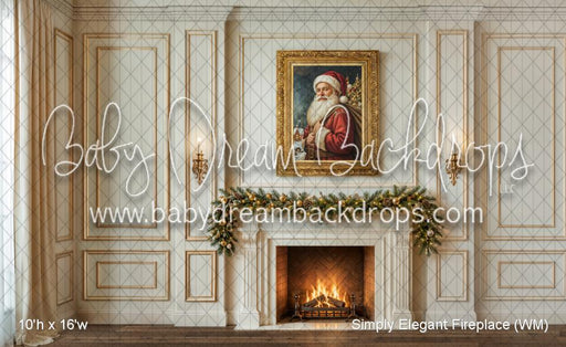 Simply Elegant Fireplace (WM)