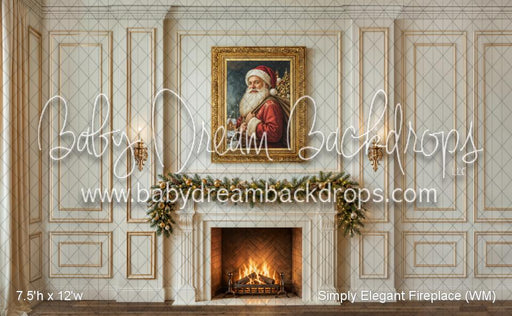Simply Elegant Fireplace (WM)