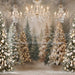 Sitting Pretty Bokeh Trees (CC)