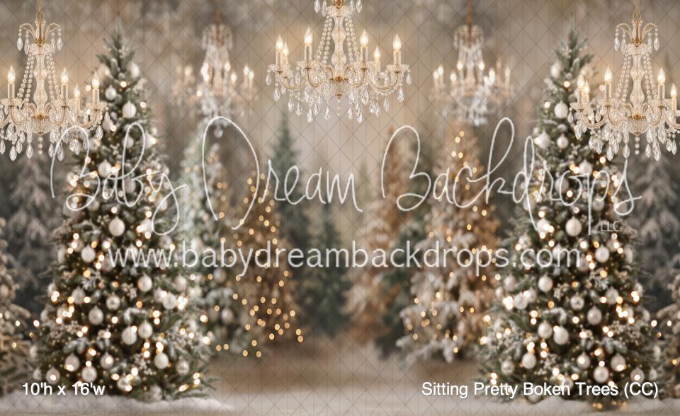 Sitting Pretty Bokeh Trees (CC)