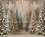 Sitting Pretty Bokeh Trees (CC)