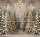 Sitting Pretty Bokeh Trees (CC)