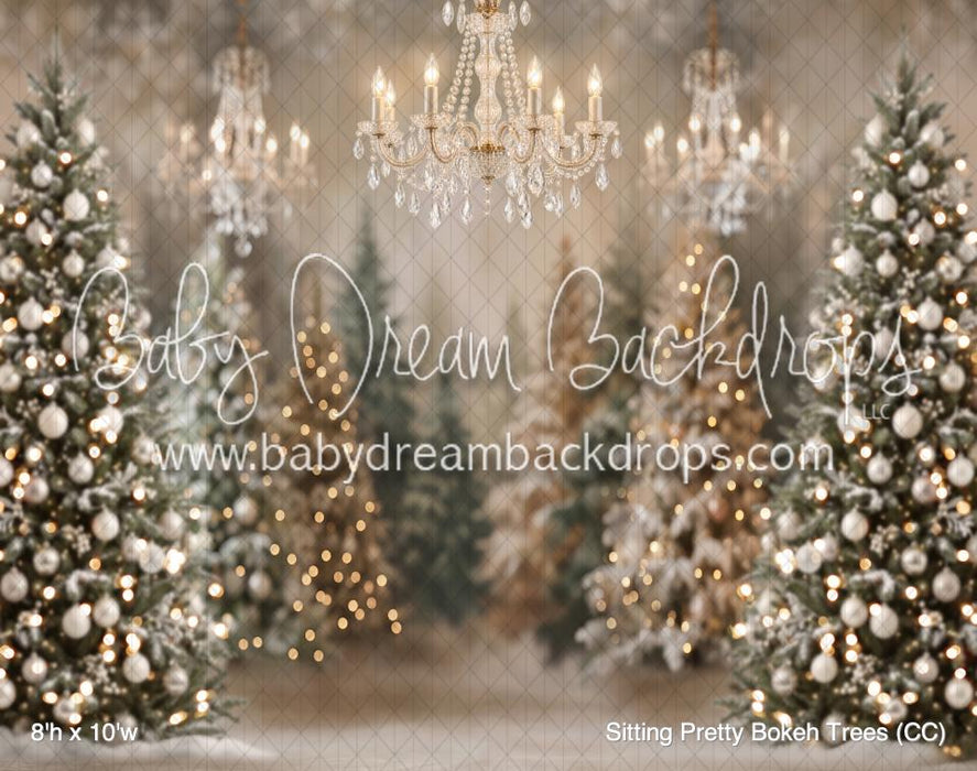 Sitting Pretty Bokeh Trees (CC)