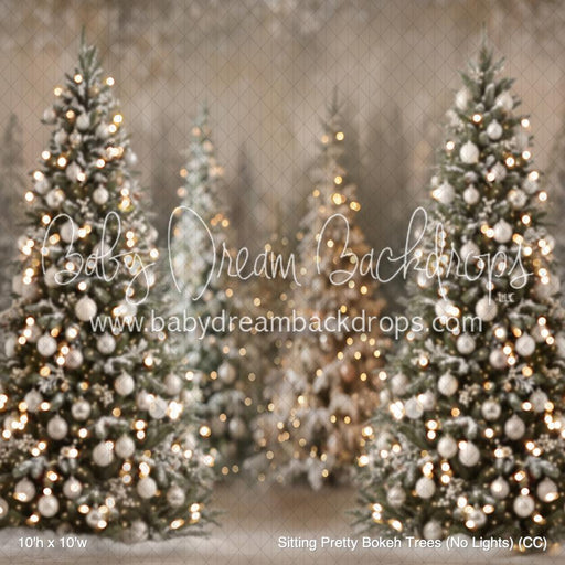 Sitting Pretty Bokeh Trees (No Lights) (CC)