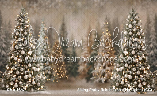 Sitting Pretty Bokeh Trees (No Lights) (CC)
