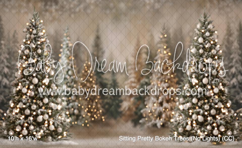 Sitting Pretty Bokeh Trees (No Lights) (CC)