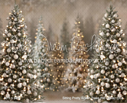 Sitting Pretty Bokeh Trees (No Lights) (CC)