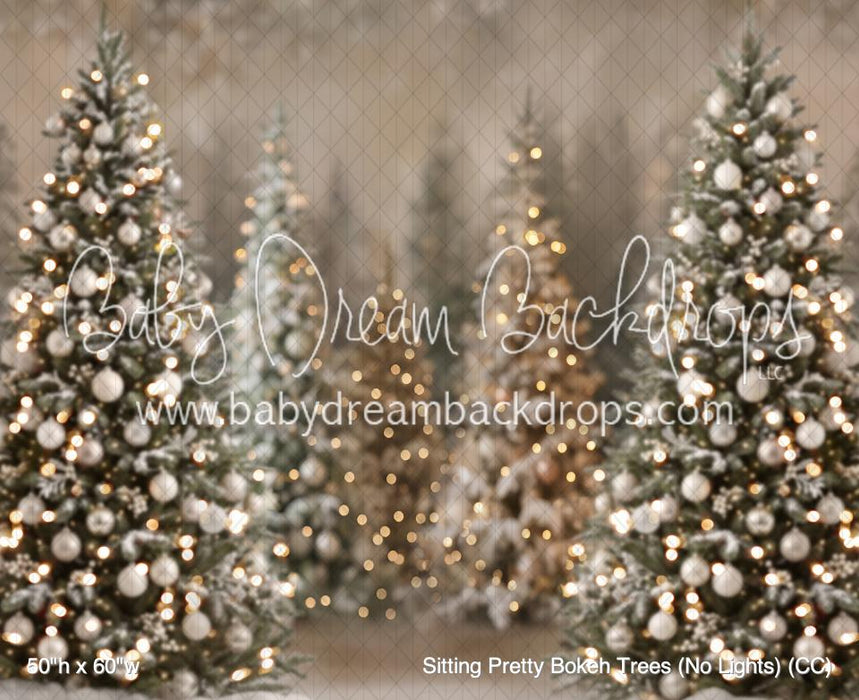Sitting Pretty Bokeh Trees (No Lights) (CC)