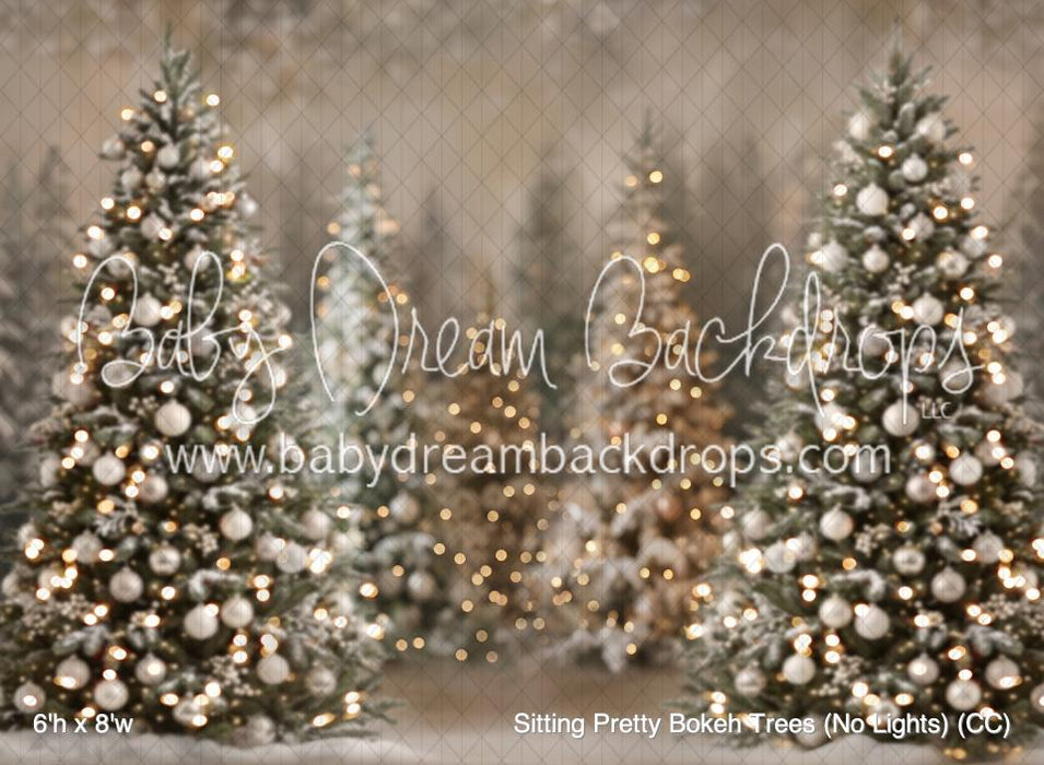 Sitting Pretty Bokeh Trees (No Lights) (CC)