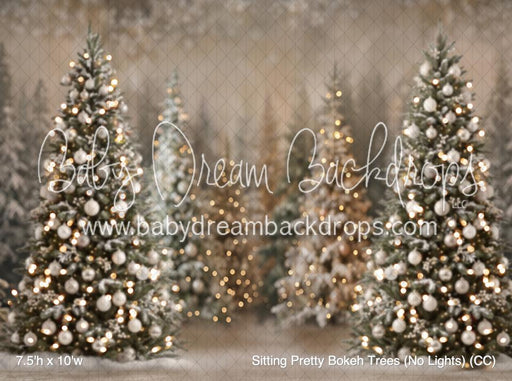 Sitting Pretty Bokeh Trees (No Lights) (CC)