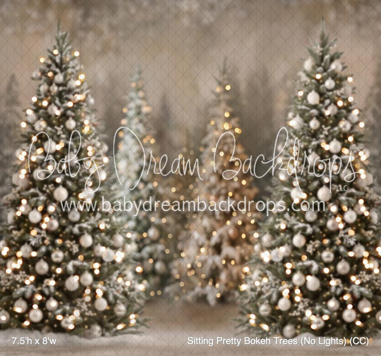 Sitting Pretty Bokeh Trees (No Lights) (CC)