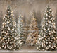 Sitting Pretty Bokeh Trees (No Lights) (CC)