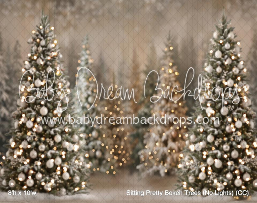 Sitting Pretty Bokeh Trees (No Lights) (CC)