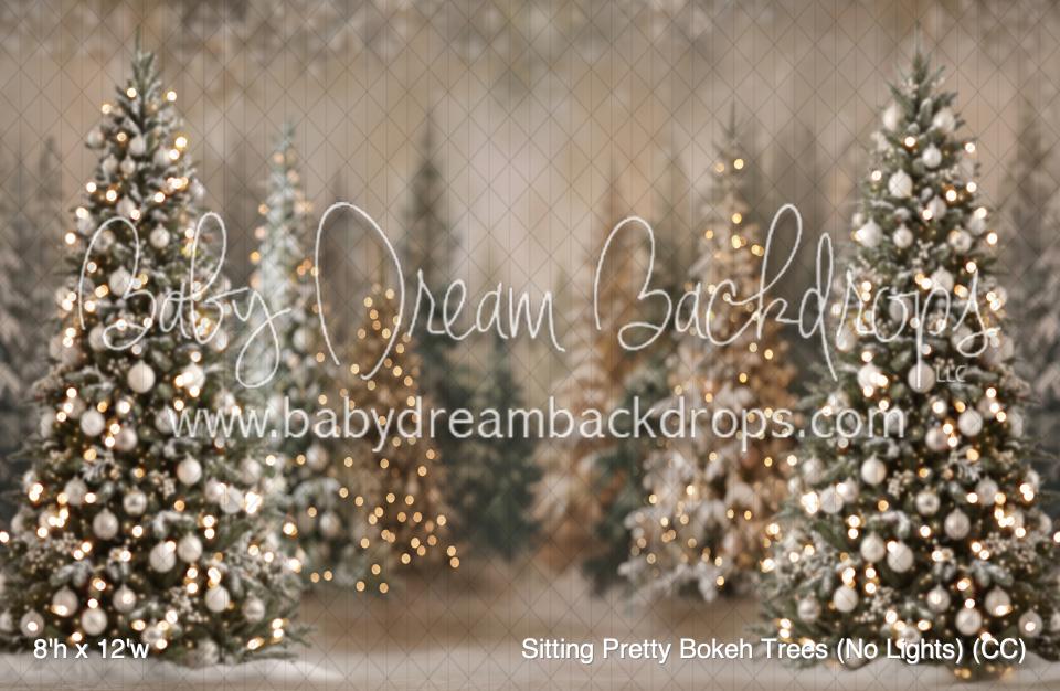 Sitting Pretty Bokeh Trees (No Lights) (CC)