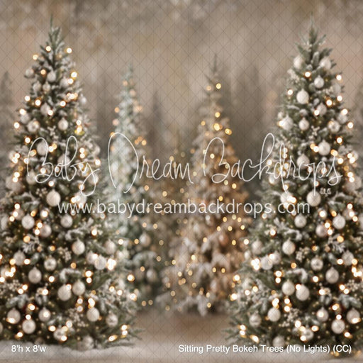 Sitting Pretty Bokeh Trees (No Lights) (CC)