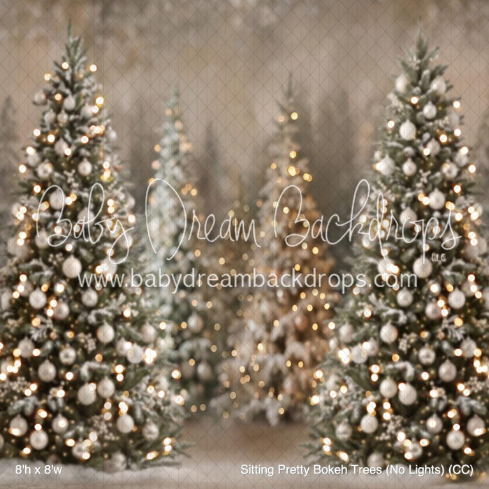 Sitting Pretty Bokeh Trees (No Lights) (CC)