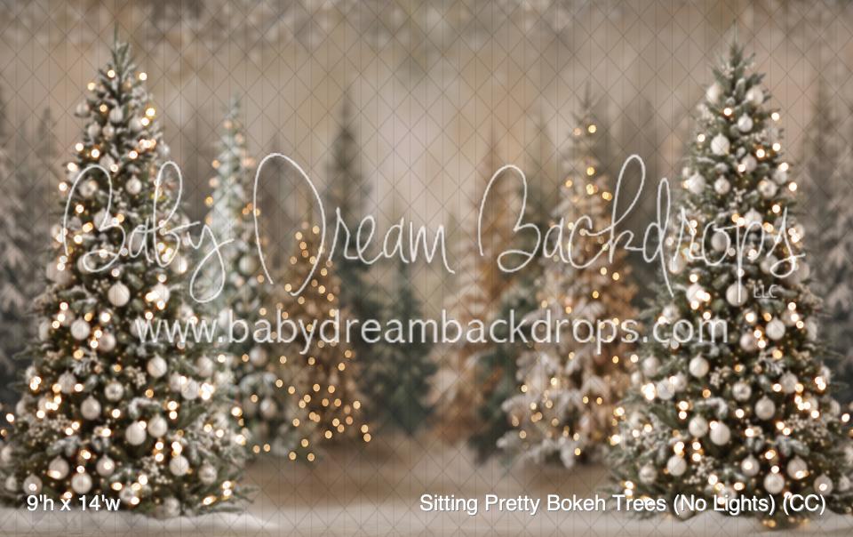 Sitting Pretty Bokeh Trees (No Lights) (CC)