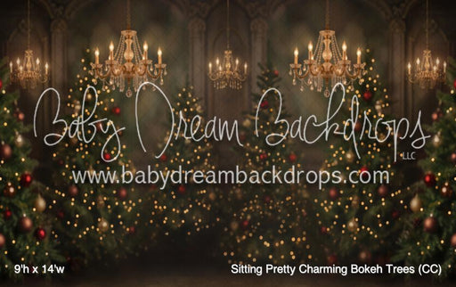 Sitting Pretty Charming Bokeh Trees (CC)