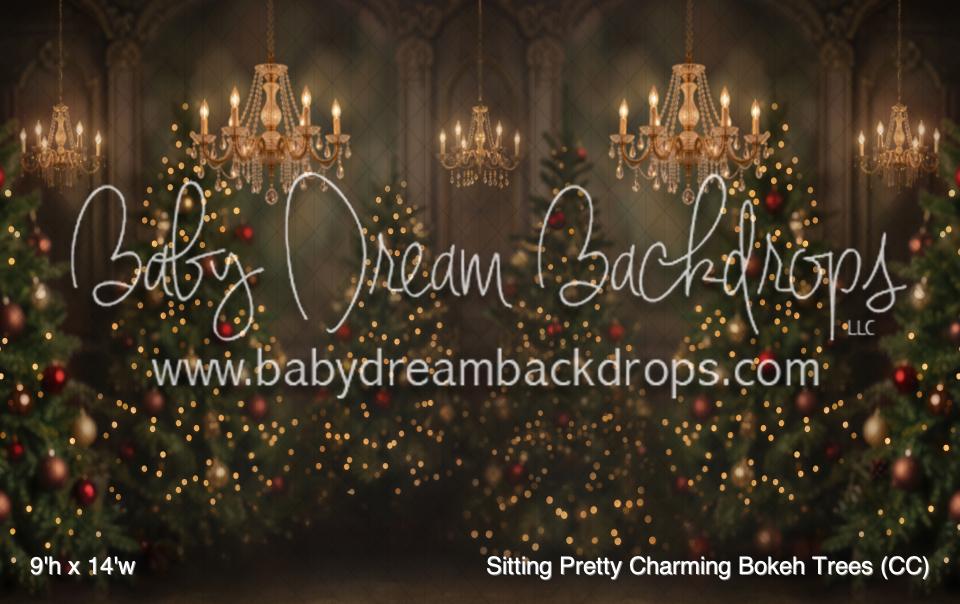 Sitting Pretty Charming Bokeh Trees (CC)
