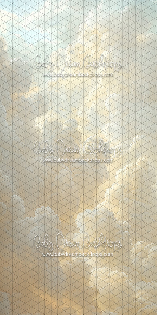 Skinny Cloudy Calm 1 (CC)