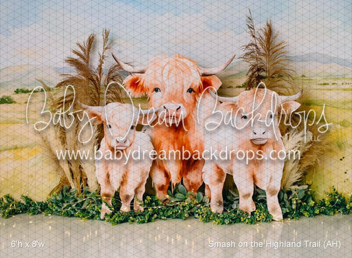 Smash on the Highland Trail (AH)