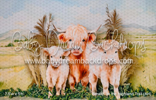 Smash on the Highland Trail (AH)