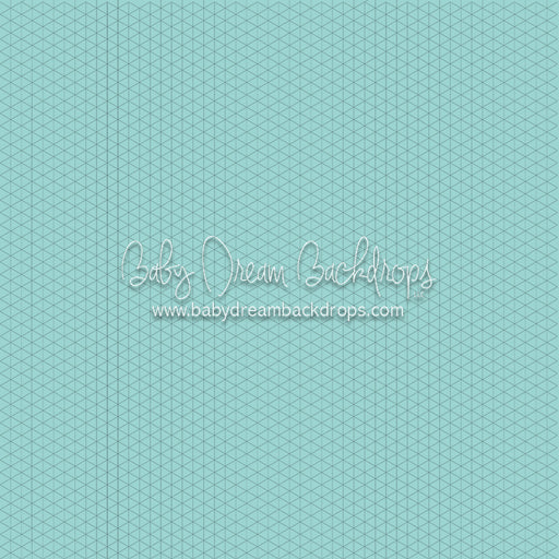 Smooth Robin's Egg (CC)