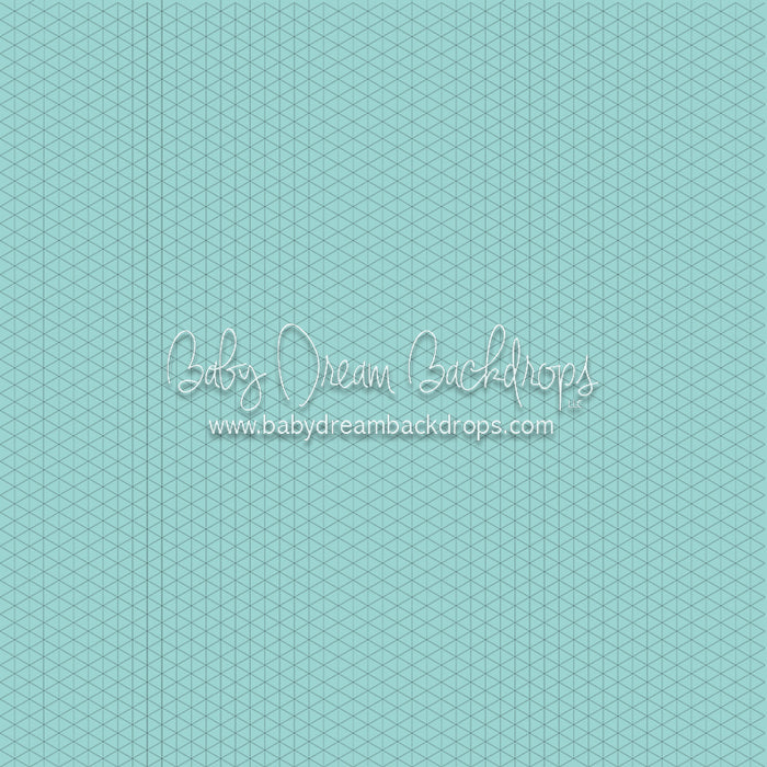 Smooth Robin's Egg (CC)