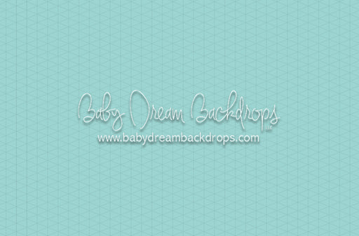 Smooth Robin's Egg (CC)