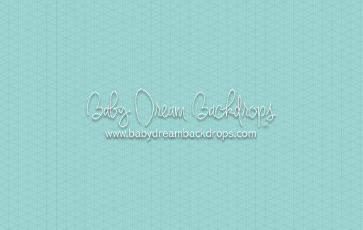 Smooth Robin's Egg (CC)