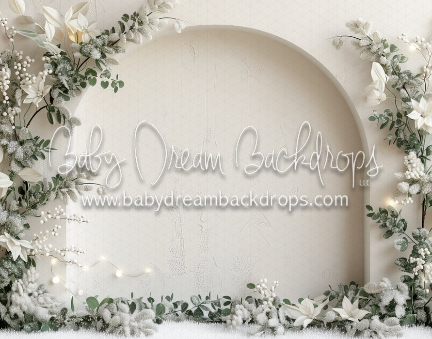Snow Dusted Arch (MD)