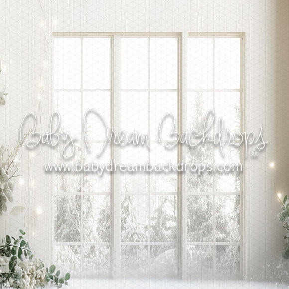 X Drop Snow Dusted Arch WIndow View (MD)