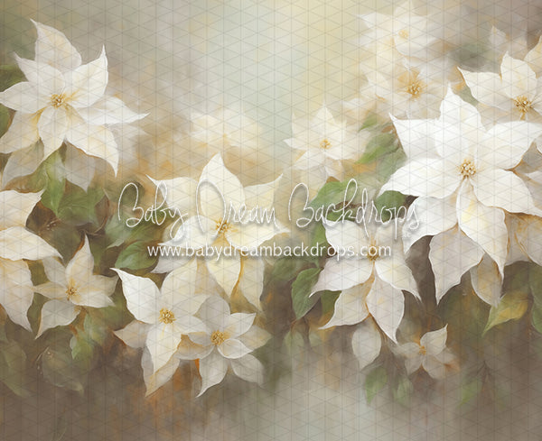 Snow White Poinsettias (LL)