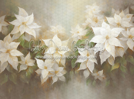 Snow White Poinsettias (LL)