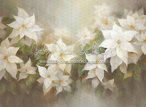 Snow White Poinsettias (LL)