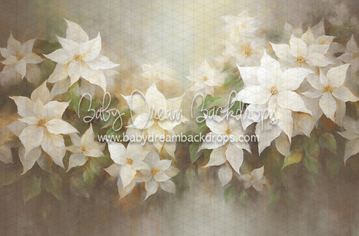 Snow White Poinsettias (LL)