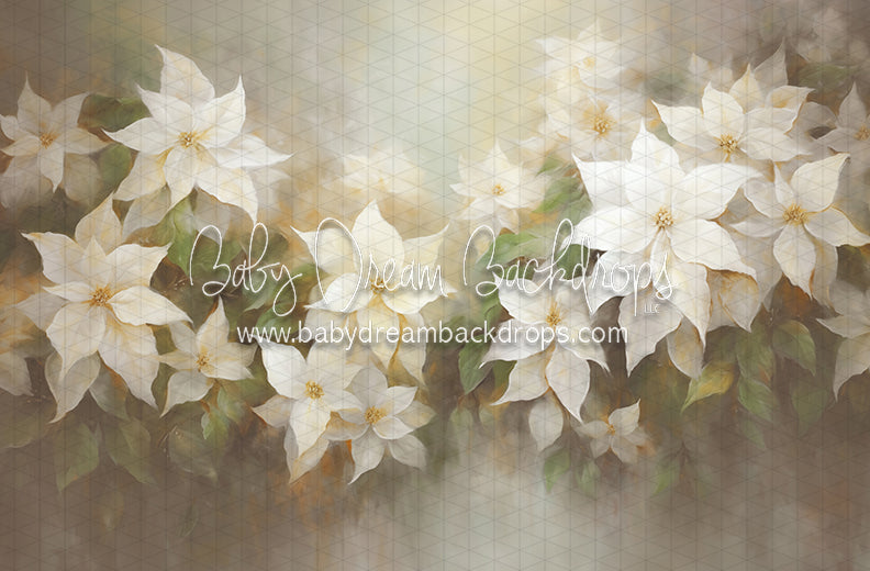 Snow White Poinsettias (LL)