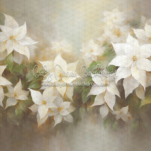 Snow White Poinsettias (LL)
