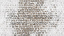 Snow on Stony Gray Floor (CC)