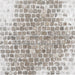 Snow on Stony Gray Floor (CC)