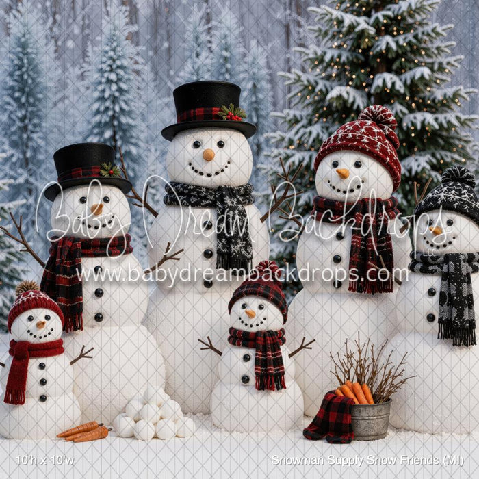 Snowman Supply Snow Friends (MI)