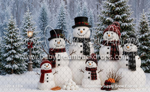 Snowman Supply Snow Friends (MI)