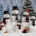 Snowman Supply Snow Friends (MI)