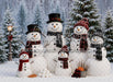 Snowman Supply Snow Friends (MI)